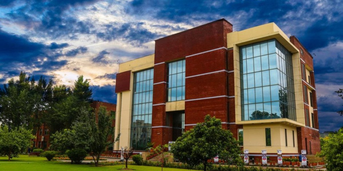 MiTE University Karachi: Redefining Higher Education for Creative and Business Minds
