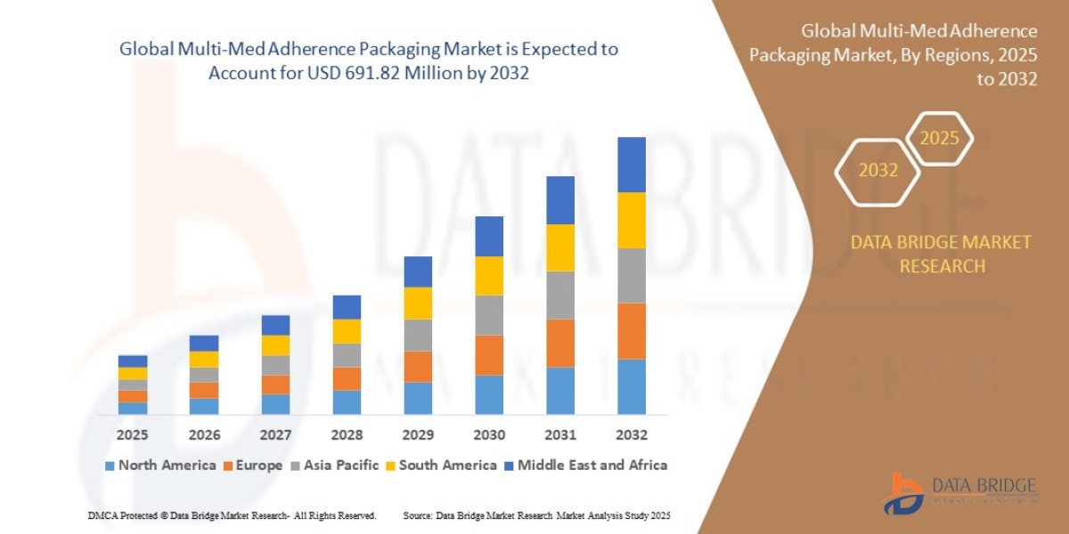 Multi-Med Adherence Packaging Market Scope, Segmentation, and Key Insights 2025–2032
