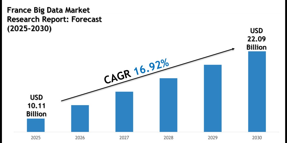 France Big Data Market Share, Size and Competitive Landscape Report 2030