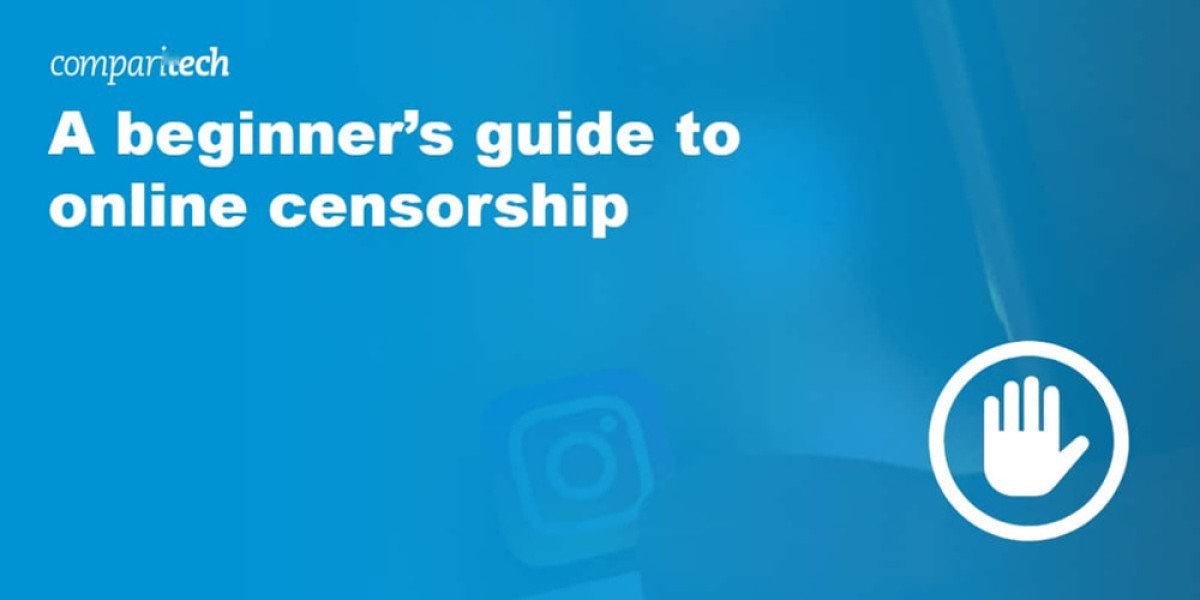 Internet Censorship: Who Controls Online Content?